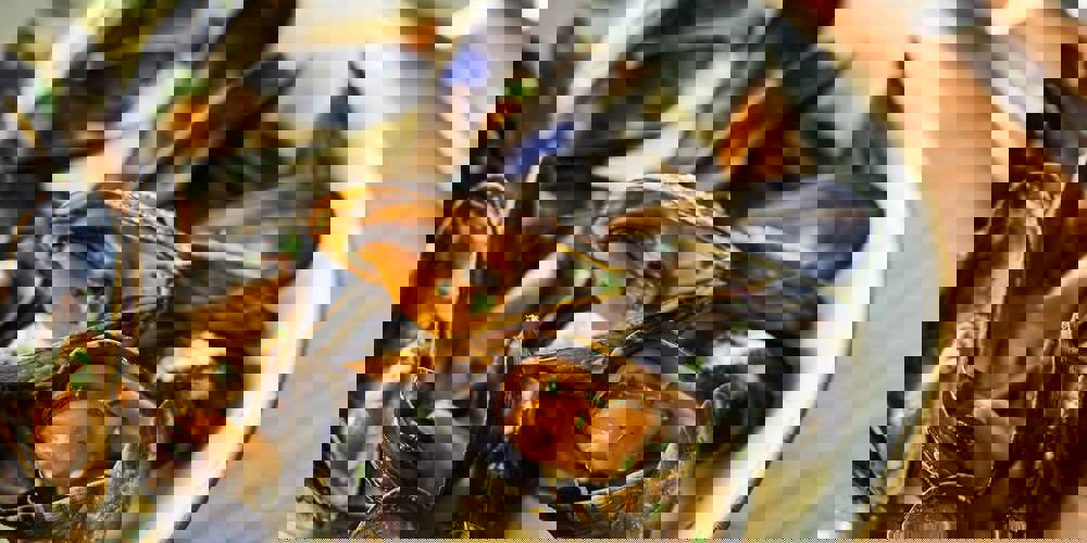 Mussels