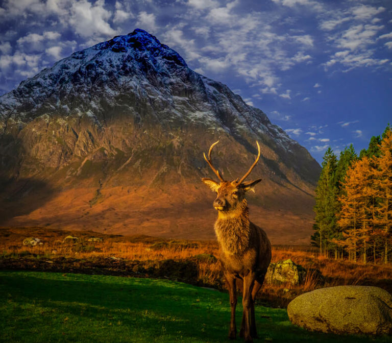 Buachaille Etive Mòr Buachaille Etive Mòr
